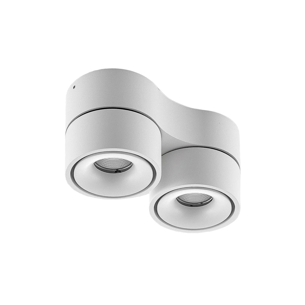 Ceiling Light with Dual Adjustable Spotlights