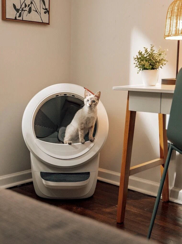 Litter-Robot 4 – Bac à Litière Auto-Nettoyant pour Chats